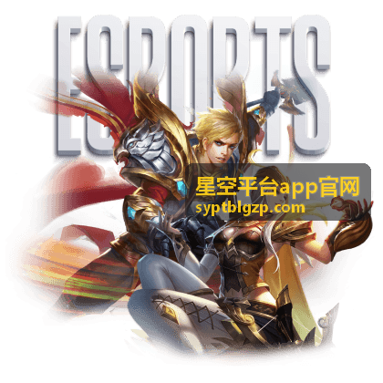 星空平台app官网数据管理技巧
